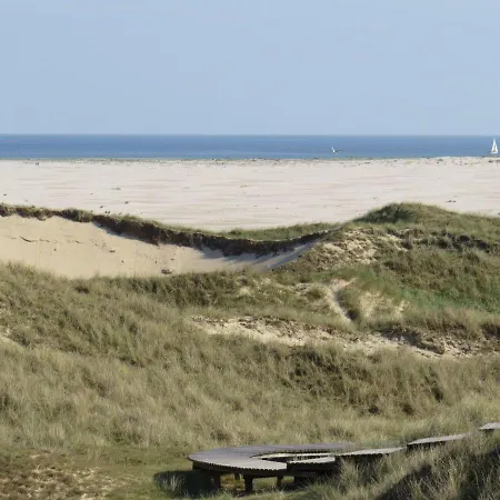 Heckenrose3-eg-links * Norddorf